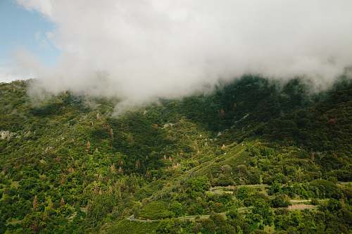 sequoia and kings canyon national parks top view photography of green leafed trees three rivers
